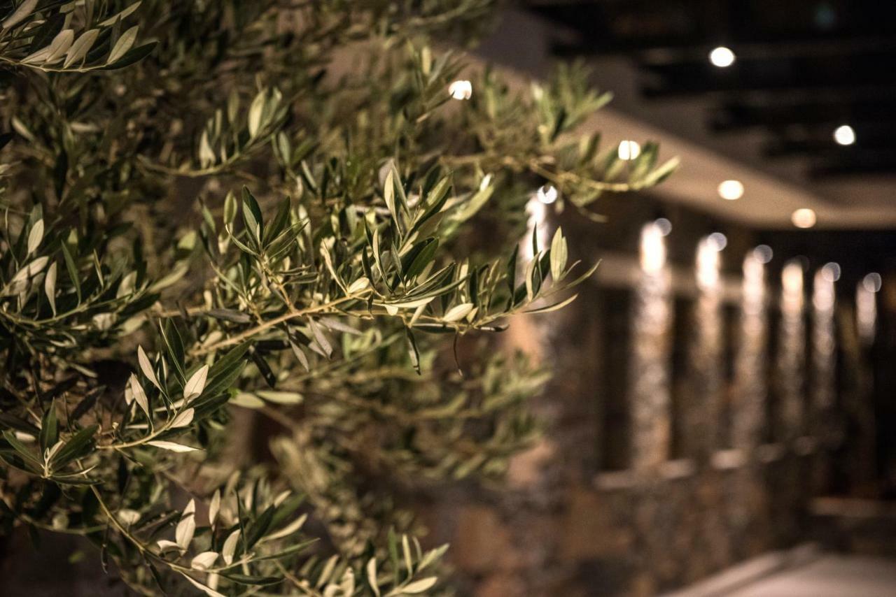 Petousis & Отель Amoudara (Heraklion)